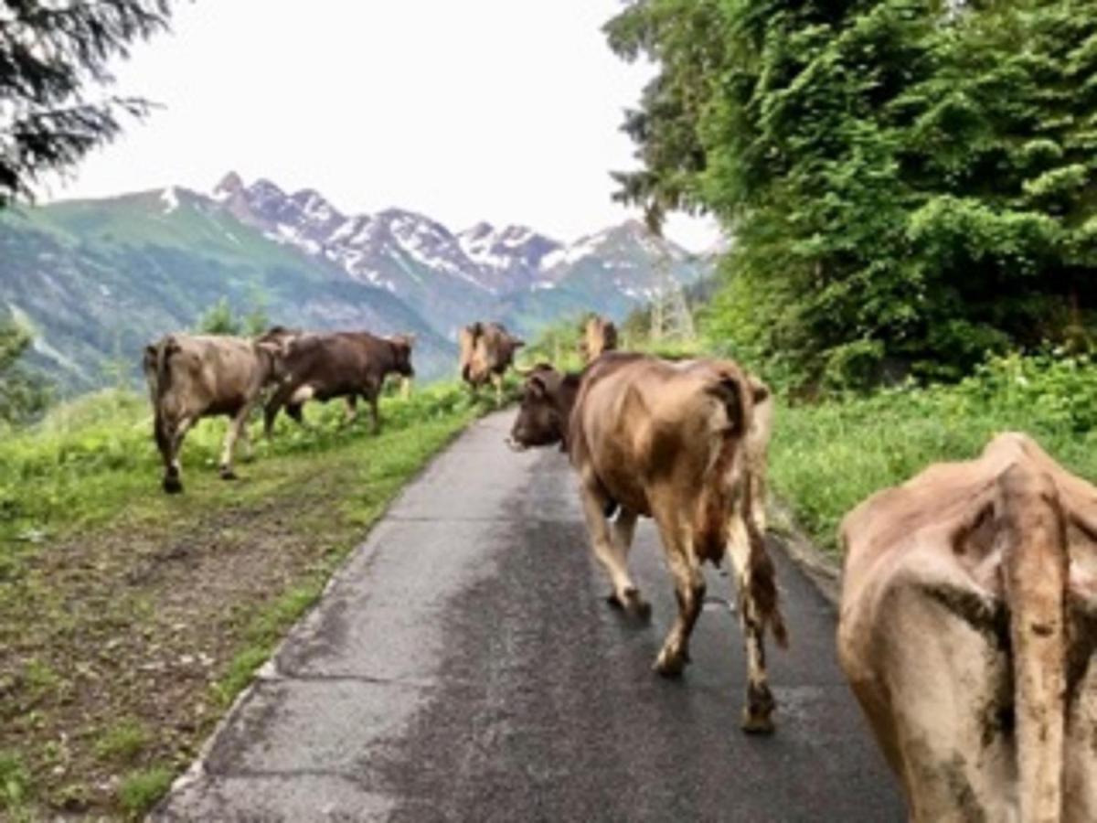 Landhaus Berktold Apartman Oberstdorf Kültér fotó